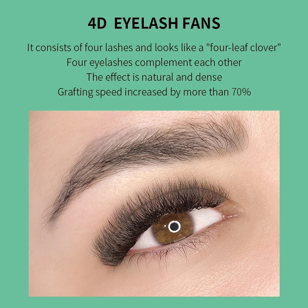 GLAMLASH 4D W-förmige Wimpernv – Eyelash Extension Human Hair Bewertung und Preis