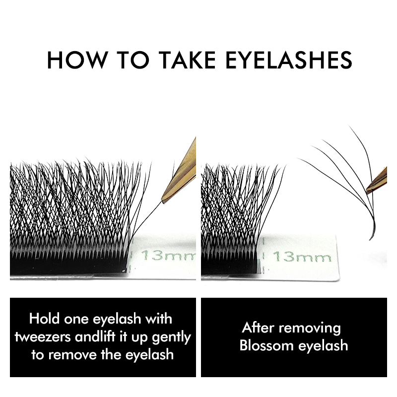 NATUHANA W-förmige 4D 5D-Volum – Eyelash Extension Human Hair Bewertung und Preis