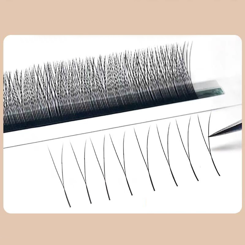MARIA 2D Y-Form Wimpern Hand P – Eyelash Extension Human Hair Bewertung und Preis
